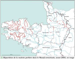 Mulettes avant 2005.JPG